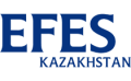 Лого Effes